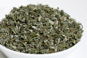Salbei