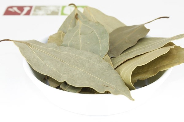 Indian bay leaves