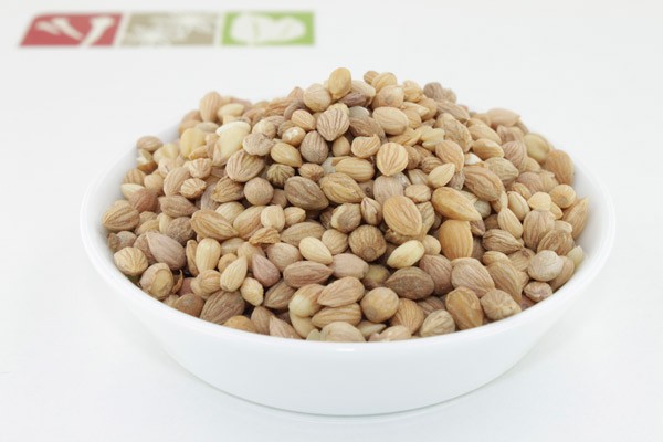 Buy Mahlep in Mayer's Spices Shop
